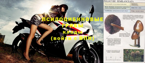 PSILOCYBIN Верхнеуральск