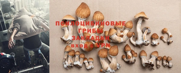 марихуана Болотное