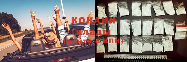 стаф Бородино