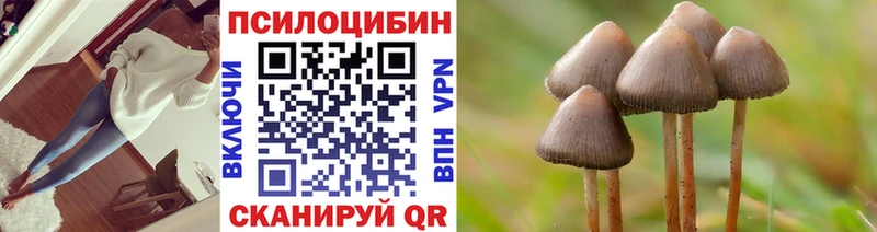 что такое наркотик Борзя мега Псилоцибиновые грибы мицелий