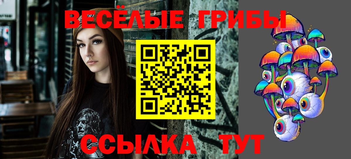 Псилоцибиновые грибы прущие грибы Борзя