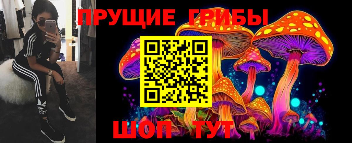 Псилоцибиновые грибы Cubensis  Вход с VPN  Борзя 