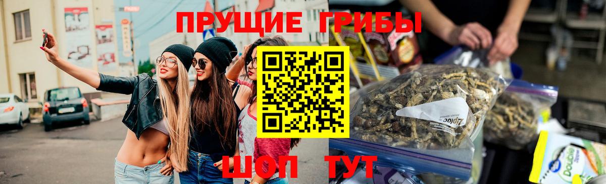 Псилоцибиновые грибы мухоморы  Борзя  Галлюциногенные грибы Magic Shrooms 